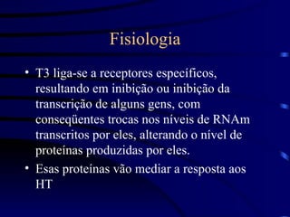 Fisiologia T3 liga-se a receptores específicos, resultando em inibição ou inibição da transcrição de alguns gens, com conseqüentes trocas nos níveis de RNAm transcritos por eles, alterando o nível de proteínas produzidas por eles.  Esas proteínas vão mediar a resposta aos HT 
