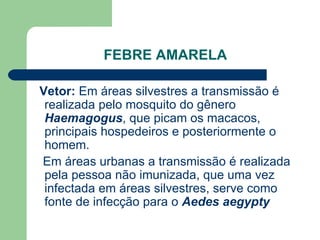 FEBRE AMARELA

Vetor: Em áreas silvestres a transmissão é
 realizada pelo mosquito do gênero
 Haemagogus, que picam os mac...