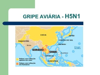 GRIPE AVIÁRIA - H5N1
 