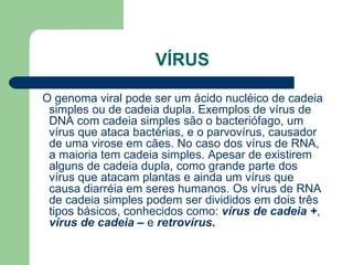 VÍRUS

VIRUS DE CADEIA – São aqueles cujo RNA genômico tem
   seqüência de bases nitrogenadas complementar à dos RNAm
   f...
