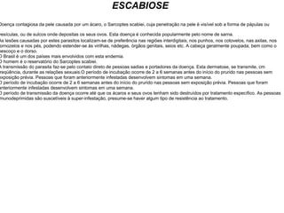 ESCABIOSE Doença contagiosa da pele causada por um ácaro, o Sarcoptes scabiei, cuja penetração na pele é visível sob a forma de pápulas ou vesículas, ou de sulcos onde depositas os seus ovos. Esta doença é conhecida popularmente pelo nome de sarna.   As lesões causadas por estes parasitos localizam-se de preferência nas regiões interdigitais, nos punhos, nos cotovelos, nas axilas, nos tornozelos e nos pés, podendo estender-se às virilhas, nádegas, órgãos genitais, seios etc. A cabeça geralmente poupada, bem como o pescoço e o dorso. O Brasil é um dos países mais envolvidos com esta endemia. O homem é o reservatório do Sarcoptes scabiei. A transmissão do parasita faz-se pelo contato direto de pessoas sadias e portadores da doença. Esta dermatose, se transmite, cm freqüência, durante as relações sexuais.O período de incubação ocorre de 2 a 6 semanas antes do início do prurido nas pessoas sem exposição prévia. Pessoas que foram anteriormente infestadas desenvolvem sintomas em uma semana. O período de incubação ocorre de 2 a 6 semanas antes do início do prurido nas pessoas sem exposição prévia. Pessoas que foram anteriormente infestadas desenvolvem sintomas em uma semana. O período de transmissão da doença ocorre até que os ácaros e seus ovos tenham sido destruídos por tratamento específico. As pessoas imunodeprimidas são suscetíveis à super-infestação, presume-se haver algum tipo de resistência ao tratamento. 