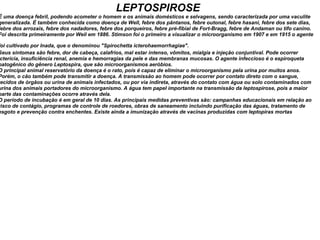 LEPTOSPIROSE É uma doença febril, podendo acometer o homem e os animais domésticos e selvagens, sendo caracterizada por uma vaculite generalizada. É também conhecida como doença de Well, febre dos pântanos, febre outonal, febre hasani, febre dos sete dias, febre dos arrozais, febre dos nadadores, febre dos porqueiros, febre pré-fibial de Fort-Bragg, febre de Andaman ou tifo canino. Foi descrita primeiramente por Weil em 1886. Stimson foi o primeiro a visualizar o microorganismo em 1907 e em 1915 o agente foi cultivado por Inada, que o denominou "Spirochetta icterohaemorrhagiae".   Seus sintomas são febre, dor de cabeça, calafrios, mal estar intenso, vômitos, mialgia e injeção conjuntival. Pode ocorrer icterícia, insuficiência renal, anemia e hemorragias da pele e das membranas mucosas. O agente infeccioso é o espiroqueta patogênico do gênero Leptospira, que são microorganismos aeróbios. O principal animal reservatório da doença é o rato, pois é capaz de eliminar o microorganismo pela urina por muitos anos. Porém, o cão também pode transmitir a doença. A transmissão ao homem pode ocorrer por contato direto com o sangue, tecidos de órgãos ou urina de animais infectados, ou por via indireta, através do contato com água ou solo contaminados com urina dos animais portadores do microorganismo. A água tem papel importante na transmissão da leptospirose, pois a maior parte das contaminações ocorre através dela. O período de incubação é em geral de 10 dias. As principais medidas preventivas são: campanhas educacionais em relação ao risco de contágio, programas de controle de roedores, obras de saneamento incluindo purificação das águas, tratamento de esgoto e prevenção contra enchentes. Existe ainda a imunização através de vacinas produzidas com leptopiras mortas 