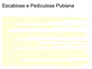 Escabiose e Pediculose Pubiana A Escabiose é originada por um ácaro (Sarcoptes scabiei na variedade Hominis) que penetra na pele e aí deposita os seus ovos.  A Pediculose Pubiana (vulgarmente conhecida por “Chatos”) foi identificada à séculos sendo originada por pequenos piolhos (Phithirus pubis) e respectivas lêndias. Para alguns autores é a mais contagiosa das doenças sexualmente transmissíveis. Ambas as doenças s causam comichão tanto nos homens como nas mulheres. Como se transmitem? São normalmente transmitidos durante as relações sexuais. Podem tambem ser apanhados ao partilhar roupa, cama, mobília antiga forrada ou acolchoada, almofadas ou toalhas que tenham sido usados por uma pessoa infectada. O que procurar? Escabiose Pediculose Pubiana - (c)2003 PortugalGay.PTPicadas na pele ou sulcos que contêm os ácaros e seus ovos que podem originar comichão. A comichão é de intensidade variável geralmente mais intensa à noite ou ao amanhecer. No homem particularmente nos espaços interdigitais, na face anterior dos pulsos e cotovelos, na parte interior das axilas, cintura, coxas e orgãos genitais externos. Na mulher nos bicos dos seios, no abdomen e na parte inferior das nádegas. Pediculose Pubiana: Tanto mulheres como os homens podem ter os sintomas seguintes: comichão intensa na zona púbica com pelos. Podem ser observados pequenos insectos rastejando ou minúsculos ovos nos pelos púbicos. Em qualquer um dos casos os primeiros sintomas podem aparecer 1 a 2 semanas para a Pedicose Pubiana e 4 a 5 semanas para a Escabiose, no caso de reinfestação os sitemos podem aparecer desde as 24 horas após a reinfestação. Como se tratam? O tratamento usual consiste em loções que podem ser compradas numa farmácia. Siga cuidadosamente as intruções do farmaceutico ou médico. Caso esteja grávida informe a pessoa que lhe receita a loção. Durante alguns destes tratamentos não é recomendada a ingestão de bebidas alcoólicas. Lave toda a roupa incluindo roupa de cama com água quente para evitar a reinfecção. Pode continuar a ter comichão durante mais quinze dias após o tratamento mas não deve ter novas picadas. Informe todas as pessoas com quem teve sexo, partilhou cama ou roupa de forma a poderem ser examinadas e tratadas caso contrário podem reinfectá-lo. Se tem peças de roupa que não podem ser lavadas (como por exemplo um casaco de couro) mande-os lavar a seco ou feche-os num saco hermético e não o abra durante duas semanas. Como posso evitar o contágio? Se compra roupa em segunda mão ou tem roupa de outra pessoa, tenha a certeza que a lava em água quente antes da utilizar. Pode também selá-la num saco de plástico hermético durante duas semanas. Não partilhe a cama ou tenha sexo com alguém que tenha marcas de alergias ou problemas de comichão. Em caso de infecção de alguém que viva consigo faça com que todas os indivíduos do agregado familiar sejam tratados.  