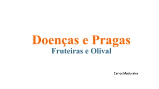 Doenças e Pragas
Fruteiras e Olival
Carlos Madureira
 