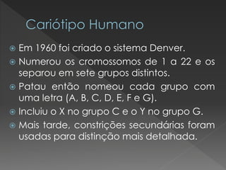  Em 1960 foi criado o sistema Denver. 
 Numerou os cromossomos de 1 a 22 e os 
separou em sete grupos distintos. 
 Patau então nomeou cada grupo com 
uma letra (A, B, C, D, E, F e G). 
 Incluiu o X no grupo C e o Y no grupo G. 
 Mais tarde, constrições secundárias foram 
usadas para distinção mais detalhada. 
 