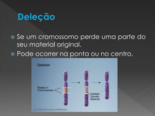  Se um cromossomo perde uma parte do 
seu material original. 
 Pode ocorrer na ponta ou no centro. 
 