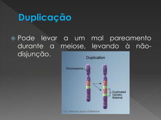 Pode levar a um mal pareamento 
durante a meiose, levando à não-disjunção. 
 