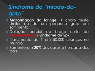  Malformação da laringe  choro muito 
similar ao de um pequeno gato em 
sofrimento 
 Deleção parcial do braço curto do 
cromossomo 5 ( Síndrome do 5p-) 
 Nascimento de 1 em 50.000 crianças no 
mundo 
 Somente em 20% dos casos é herdada dos 
pais 
 