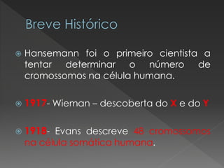  Hansemann foi o primeiro cientista a 
tentar determinar o número de 
cromossomos na célula humana. 
 1917- Wieman – descoberta do X e do Y 
 1918- Evans descreve 48 cromossomos 
na célula somática humana. 
 