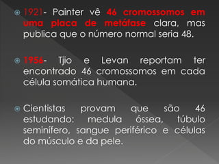  1921- Painter vê 46 cromossomos em 
uma placa de metáfase clara, mas 
publica que o número normal seria 48. 
 1956- Tjio e Levan reportam ter 
encontrado 46 cromossomos em cada 
célula somática humana. 
 Cientistas provam que são 46 
estudando: medula óssea, túbulo 
seminífero, sangue periférico e células 
do músculo e da pele. 
 