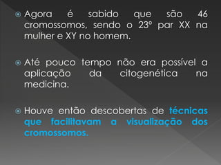  Agora é sabido que são 46 
cromossomos, sendo o 23º par XX na 
mulher e XY no homem. 
 Até pouco tempo não era possível a 
aplicação da citogenética na 
medicina. 
 Houve então descobertas de técnicas 
que facilitavam a visualização dos 
cromossomos. 
 