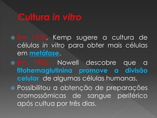 Em 1928, Kemp sugere a cultura de 
células in vitro para obter mais células 
em metáfase. 
 Em 1960, Nowell descobre que a 
fitohemaglutinina promove a divisão 
celular de algumas células humanas. 
 Possibilitou a obtenção de preparações 
cromossômicas de sangue periférico 
após cultua por três dias. 
 
