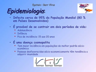 • Infecta cerca de 95% da População Mundial (80 %
em Países Desenvolvidos)
• É provável de se contrair em dois períodos de vida:
 Adolescência
 Infância
 Pico de incidência: 15 aos 20 anos
• É uma doença cosmopolita
 Tem maior incidência em populações de melhor padrão sócio-
económico
 Pessoas desfavorecidas sócio-economicamente têm tendência a
adquirir imunidade
EpidemiologiaEpidemiologia::
Epstein – Barr VírusEpstein – Barr Vírus
 