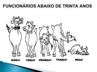 FUNCIONÁRIOS ABAIXO DE TRINTA ANOS
 