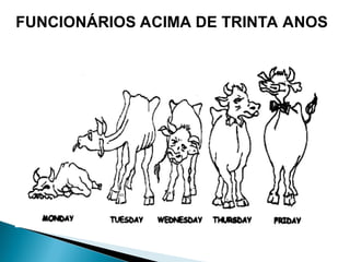 FUNCIONÁRIOS ACIMA DE TRINTA ANOS
 