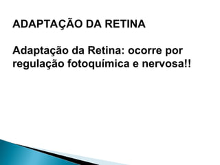 ADAPTAÇÃO DA RETINA
Adaptação da Retina: ocorre por
regulação fotoquímica e nervosa!!
 