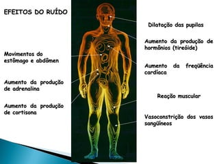 Dilatação das pupilas
Dilatação das pupilas
EFEITOS DO RUÍDO
EFEITOS DO RUÍDO
Aumento da produção de
Aumento da produção de
hormônios (tireóide)
hormônios (tireóide)
Aumento da freqüência
Aumento da freqüência
cardíaca
cardíaca
Aumento da produção
Aumento da produção
de adrenalina
de adrenalina
Aumento da produção
Aumento da produção
de cortisona
de cortisona
Movimentos do
Movimentos do
estômago e abdômen
estômago e abdômen
Reação muscular
Reação muscular
Vasoconstrição dos vasos
Vasoconstrição dos vasos
sangüíneos
sangüíneos
 