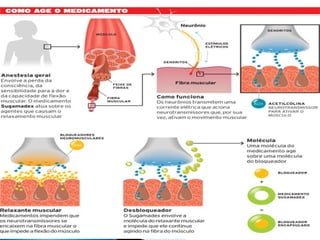 Anestésicos
Anestésicos
AGENTES QUÍMICOS
AGENTES QUÍMICOS
 