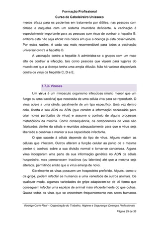 Formação Profissional
Curso de Cabeleireiro Unissexo
Rodrigo Corte-Real – Organização do Trabalho, Higiene e Segurança: Doenças Profissionais
Página 29 de 36
menos eficaz para os pacientes em tratamento por diálise, nas pessoas com
cirrose e naquelas com um sistema imunitário deficiente. A vacinação é
especialmente importante para as pessoas com risco de contrair a hepatite B,
embora esta não seja eficaz nos casos em que a doença já está desenvolvida.
Por estas razões, é cada vez mais recomendável para todos a vacinação
universal contra a hepatite B.
A vacinação contra a hepatite A administra-se a grupos com um risco
alto de contrair a infecção, tais como pessoas que viajem para lugares do
mundo em que a doença tenha uma ampla difusão. Não há vacinas disponíveis
contra os vírus da hepatite C, D e E.
1.7.3- Viroses
Um vírus é um minúsculo organismo infeccioso (muito menor que um
fungo ou uma bactéria) que necessita de uma célula viva para se reproduzir. O
vírus adere a uma célula, geralmente de um tipo específico. Uma vez dentro
dela, liberta o seu ADN ou ARN (que contém a informação necessária para
criar novas partículas de vírus) e assume o controlo de alguns processos
metabólicos da mesma. Como consequência, os componentes do vírus são
fabricados dentro da célula e reunidos adequadamente para que o vírus seja
libertado e continue a manter a sua capacidade infectante.
O que sucede à célula depende do tipo de vírus. Alguns matam as
células que infectam. Outros alteram a função celular ao ponto de a mesma
perder o controlo sobre a sua divisão normal e tornar-se cancerosa. Alguns
vírus incorporam uma parte da sua informação genética no ADN da célula
hospedeira, mas permanecem inactivos (ou latentes) até que a mesma seja
alterada, permitindo então que o vírus emerja de novo.
Geralmente os vírus possuem um hospedeiro preferido. Alguns, como o
da gripe, podem infectar os humanos e uma variedade de outros animais. De
qualquer modo, algumas variedades de gripe adaptaram-se de tal forma que
conseguem infectar uma espécie de animal mais eficientemente do que outras.
Quase todos os vírus que se encontram frequentemente nos seres humanos
 