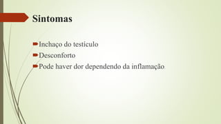 Sintomas
Inchaço do testículo
Desconforto
Pode haver dor dependendo da inflamação.
 