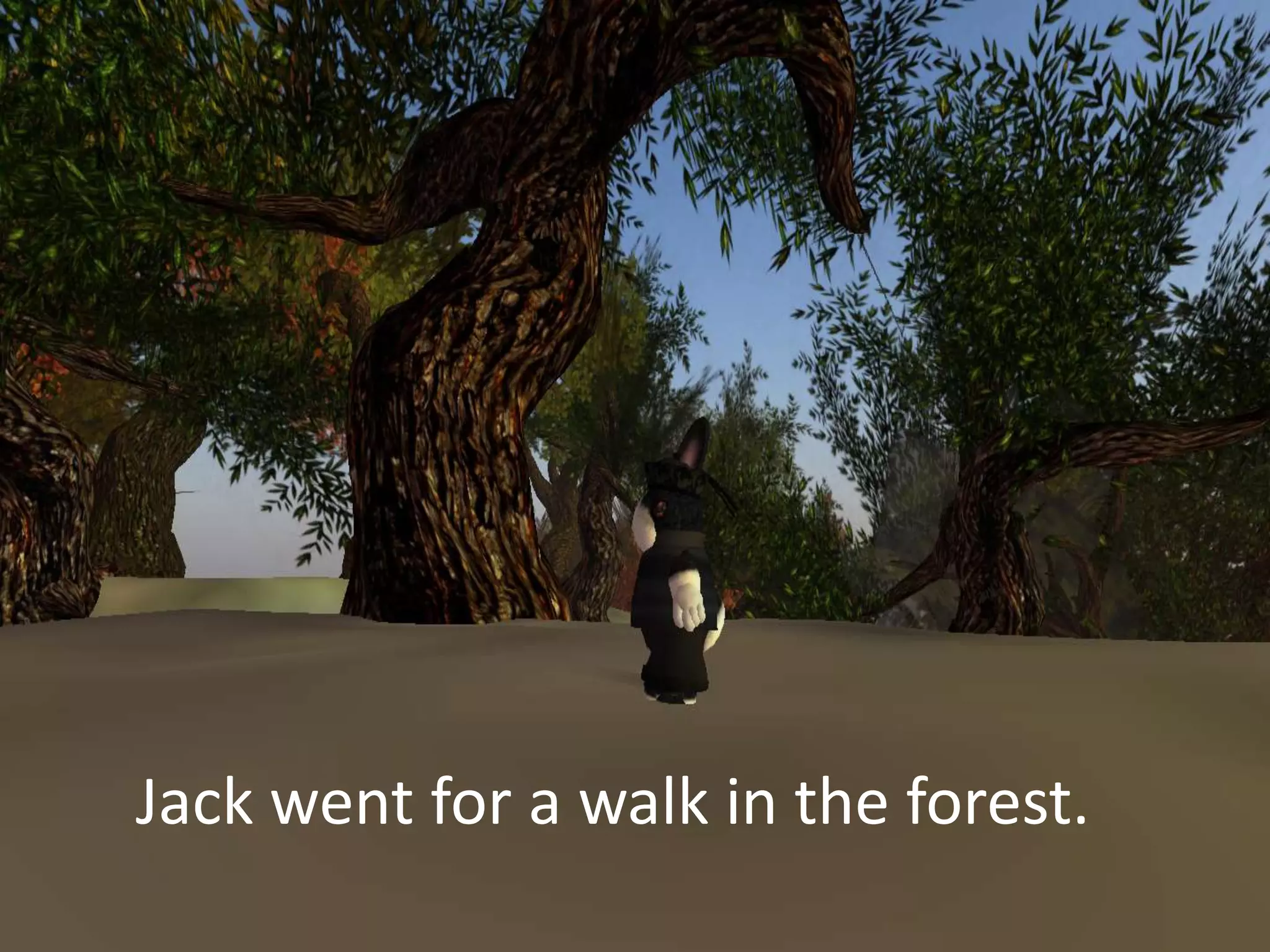 Jack went for a walk in the forest.
 