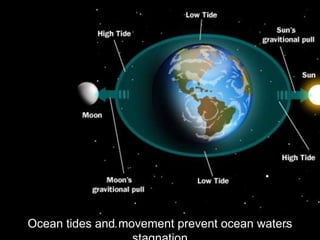 Ocean tides and movement prevent ocean waters stagnation 