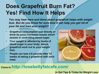 Does Grapefruit Burn Fat? Yes! Find How It Helps   ,[object Object],[object Object],[object Object],[object Object],Come to  http://losebellyfatcafe.com/   to Get Tips & Tricks for Weight Loss 