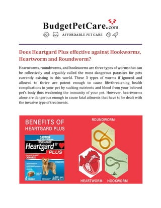 Does Heartgard Plus effective against Hookworms,
Heartworm and Roundworm?
Heartworms, roundworms, and hookworms are three types of worms that can
be collectively and arguably called the most dangerous parasites for pets
currently existing in this world. These 3 types of worms if ignored and
allowed to thrive are potent enough to cause life-threatening health
complications in your pet by sucking nutrients and blood from your beloved
pet’s body thus weakening the immunity of your pet. However, heartworms
alone are dangerous enough to cause fatal ailments that have to be dealt with
the invasive type of treatments.
 