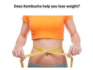 Does Kombucha help you lose weight?
 
