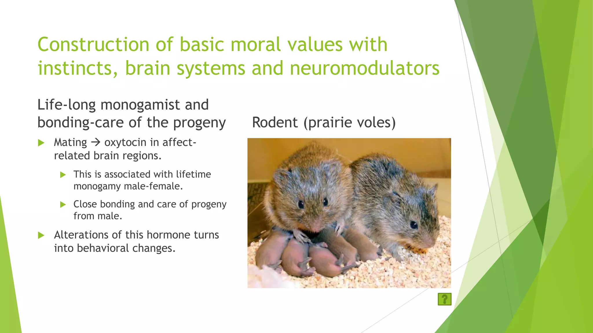 Construction of basic moral values with
instincts, brain systems and neuromodulators
Life-long monogamist and
bonding-care of the progeny
 Mating  oxytocin in affect-
related brain regions.
 This is associated with lifetime
monogamy male-female.
 Close bonding and care of progeny
from male.
 Alterations of this hormone turns
into behavioral changes.
Rodent (prairie voles)
 