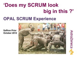 ‘Does my SCRUM look
             big in this ?’
OPAL SCRUM Experience

Saffron Prior
October 2012
 