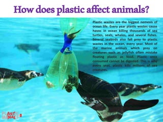 Howdoesplasticaffectanimals?
Plastic wastes are the biggest nemesis of
ocean life. Every year plastic wastes cause
havoc in ocean killing thousands of sea
turtles, seals, whales, and several fishes.
Several seabirds also fall prey to plastic
wastes in the ocean, every year. Most of
the marine animals which prey on
creatures such as jellyfish often mistake
floating plastic as food. Plastic once
consumed cannot be digested. This is why
every year, plastic kills millions of sea
creatures.
 