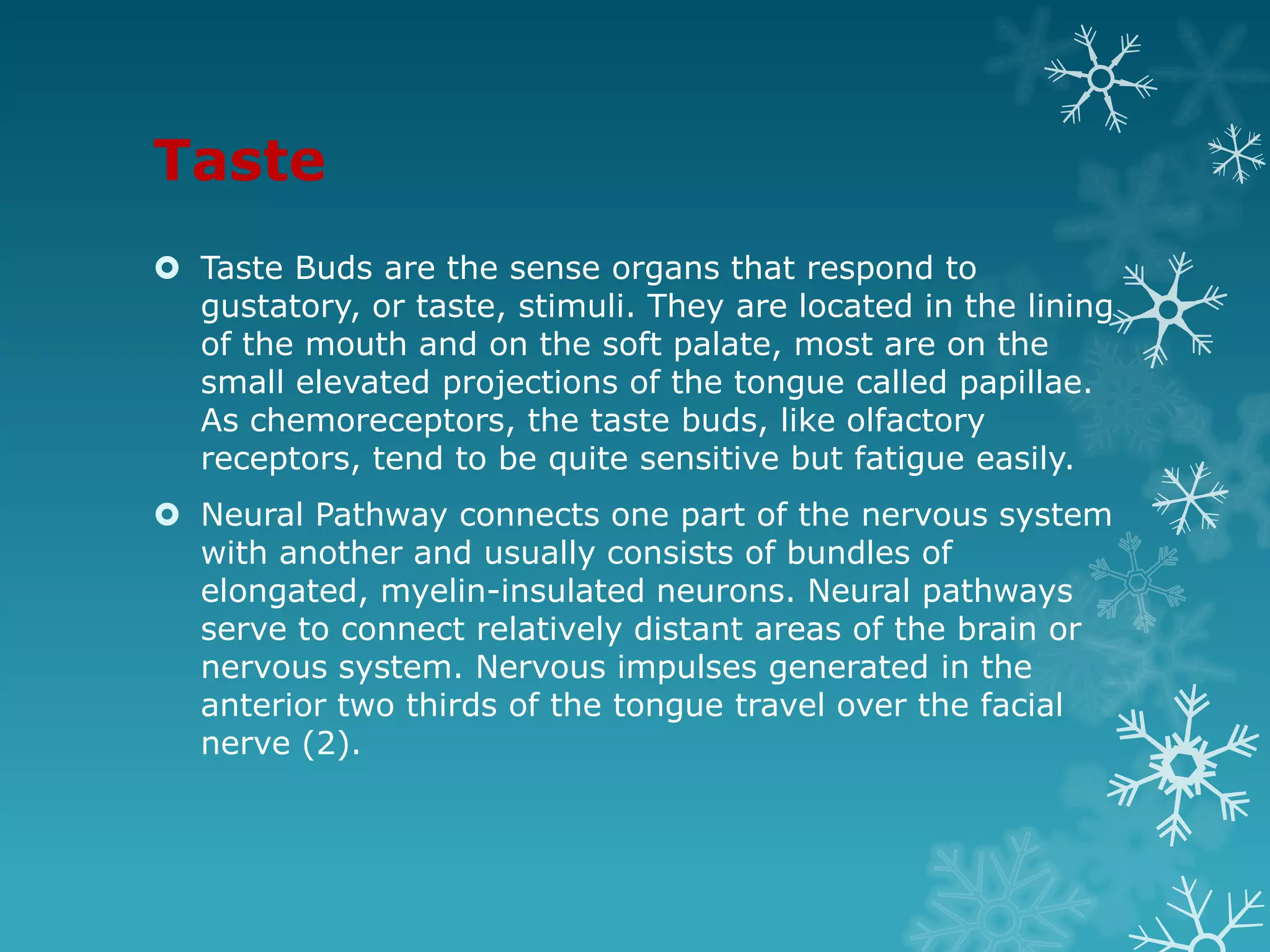 Taste
 Taste Buds are the sense organs that respond to
  gustatory, or taste, stimuli. They are located in the lining
  of the mouth and on the soft palate, most are on the
  small elevated projections of the tongue called papillae.
  As chemoreceptors, the taste buds, like olfactory
  receptors, tend to be quite sensitive but fatigue easily.
 Neural Pathway connects one part of the nervous system
  with another and usually consists of bundles of
  elongated, myelin-insulated neurons. Neural pathways
  serve to connect relatively distant areas of the brain or
  nervous system. Nervous impulses generated in the
  anterior two thirds of the tongue travel over the facial
  nerve (2).
 