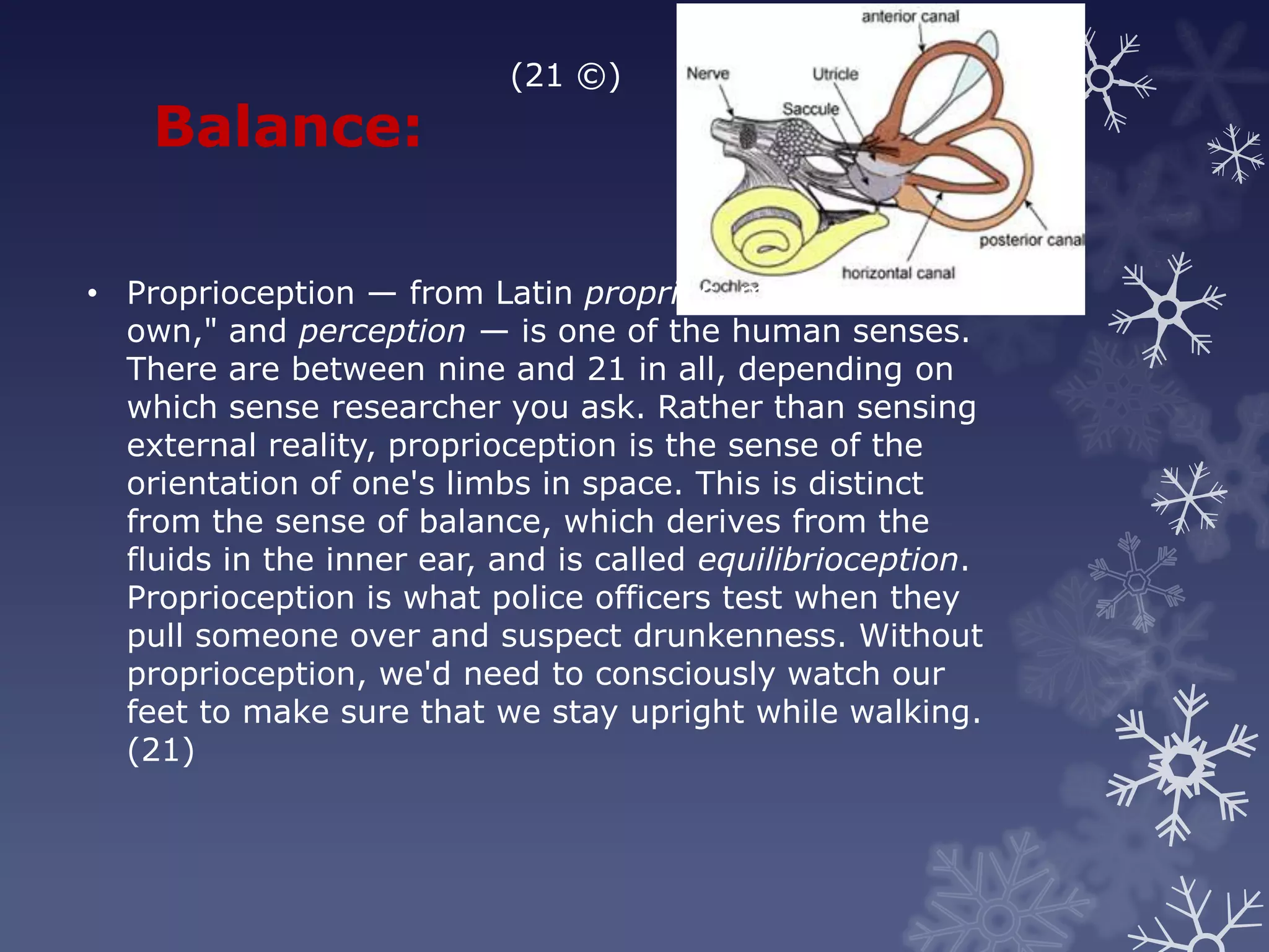 (21 ©)
    Balance:

• Proprioception — from Latin proprius, meaning "one's
  own," and perception — is one of the human senses.
  There are between nine and 21 in all, depending on
  which sense researcher you ask. Rather than sensing
  external reality, proprioception is the sense of the
  orientation of one's limbs in space. This is distinct
  from the sense of balance, which derives from the
  fluids in the inner ear, and is called equilibrioception.
  Proprioception is what police officers test when they
  pull someone over and suspect drunkenness. Without
  proprioception, we'd need to consciously watch our
  feet to make sure that we stay upright while walking.
  (21)
 