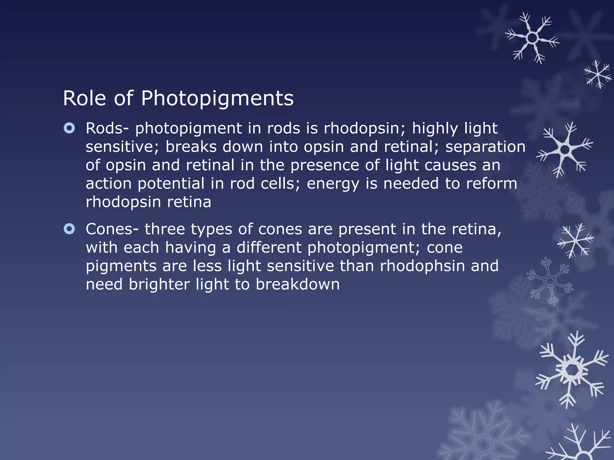 Role of Photopigments
 Rods- photopigment in rods is rhodopsin; highly light
  sensitive; breaks down into opsin and retinal; separation
  of opsin and retinal in the presence of light causes an
  action potential in rod cells; energy is needed to reform
  rhodopsin retina
 Cones- three types of cones are present in the retina,
  with each having a different photopigment; cone
  pigments are less light sensitive than rhodophsin and
  need brighter light to breakdown
 