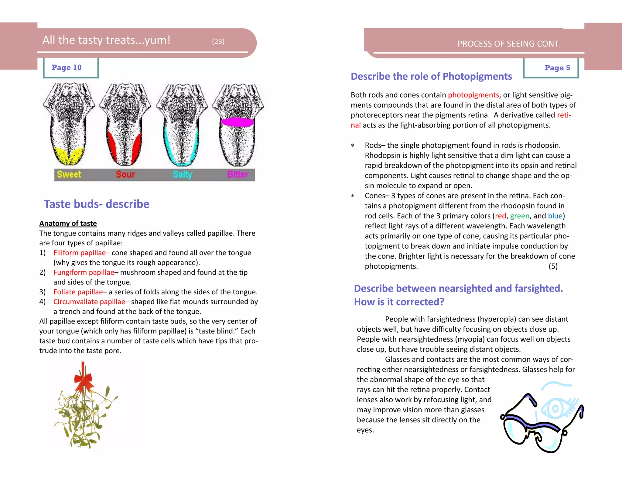 All the tasty treats...yum!                            (23)                                                PROCESS OF SEEING CONT.

   Page 10                                                                                                                           Page 5
                                                                         Describe the role of Photopigments
                                                                         Both rods and cones contain photopigments, or light sensitive pig-
                                                                         ments compounds that are found in the distal area of both types of
                                                                         photoreceptors near the pigments retina. A derivative called reti-
                                                                         nal acts as the light-absorbing portion of all photopigments.

                                                                              Rods– the single photopigment found in rods is rhodopsin.
                                                                               Rhodopsin is highly light sensitive that a dim light can cause a
                                                                               rapid breakdown of the photopigment into its opsin and retinal
                                                                               components. Light causes retinal to change shape and the op-
                                                                               sin molecule to expand or open.
                                                                              Cones– 3 types of cones are present in the retina. Each con-
 Taste buds- describe                                                          tains a photopigment different from the rhodopsin found in
                                                                               rod cells. Each of the 3 primary colors (red, green, and blue)
Anatomy of taste                                                               reflect light rays of a different wavelength. Each wavelength
The tongue contains many ridges and valleys called papillae. There             acts primarily on one type of cone, causing its particular pho-
are four types of papillae:                                                    topigment to break down and initiate impulse conduction by
1) Filiform papillae– cone shaped and found all over the tongue                the cone. Brighter light is necessary for the breakdown of cone
     (why gives the tongue its rough appearance).                              photopigments.                                            (5)
2) Fungiform papillae– mushroom shaped and found at the tip
     and sides of the tongue.
3) Foliate papillae– a series of folds along the sides of the tongue.    Describe between nearsighted and farsighted.
4) Circumvallate papillae– shaped like flat mounds surrounded by         How is it corrected?
     a trench and found at the back of the tongue.
All papillae except filiform contain taste buds, so the very center of                People with farsightedness (hyperopia) can see distant
your tongue (which only has filiform papillae) is “taste blind.” Each        objects well, but have difficulty focusing on objects close up.
taste bud contains a number of taste cells which have tips that pro-         People with nearsightedness (myopia) can focus well on objects
trude into the taste pore.                                                   close up, but have trouble seeing distant objects.
                                                                                      Glasses and contacts are the most common ways of cor-
                                                                             recting either nearsightedness or farsightedness. Glasses help for
                                                                             the abnormal shape of the eye so that
                                                                             rays can hit the retina properly. Contact
                                                                             lenses also work by refocusing light, and
                                                                             may improve vision more than glasses
                                                                             because the lenses sit directly on the
                                                                             eyes.
 