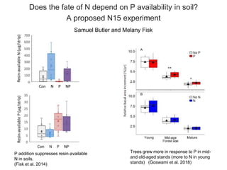 Does the fate of N depend on P availability in soil?
A proposed N15 experiment
P addition suppresses resin-available
N in soils.
(Fisk et al. 2014)
Samuel Butler and Melany Fisk
Trees grew more in response to P in mid-
and old-aged stands (more to N in young
stands) (Goswami et al. 2018)
 