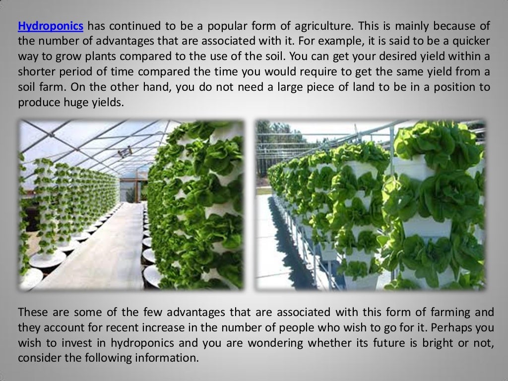 Does The Future of Hydroponics Look Bright?