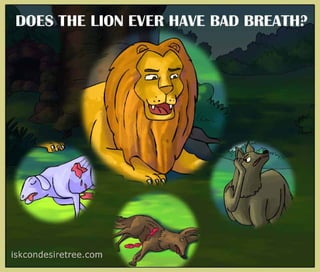 Does the lion_ever_have_bad_breath