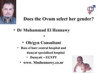 Does the Ovum select her gender?
• Dr Muhammad El Hennawy
•
• Ob/gyn Consultant
• Rass el barr central hospital and
dumyat specialised hospital
• Dumyatt – EGYPT
• www. Mmhennawy.co.nr
 