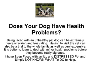 Does Your Dog Have Health Problems? Being faced with an unhealthy pet dog can be extremely nerve wracking and frustrating.  Having to visit the vet can also be a trial to the whole family as well as very expensive. It is better to learn to deal with minor health problems before they become really big ones. I have Been Faced with an ILL and DISTRESSED Pet and Simply NOT KNOWN WHAT To DO to Help. 