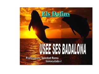 Els Dofins USEE SES BADALONA Professores: Soledad Rama Inmaculada Alijarte 
