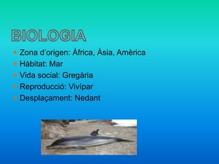  Zona d’origen: Àfrica, Àsia, Amèrica
 Hàbitat: Mar
 Vida social: Gregària
 Reproducció: Vivípar
 Desplaçament: Nedant
 