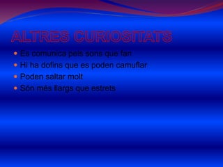  Es comunica pels sons que fan
 Hi ha dofins que es poden camuflar
 Poden saltar molt
 Són més llargs que estrets
 