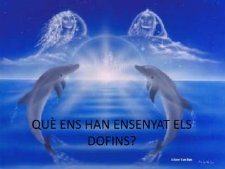 QUÈ ENS HAN ENSENYAT ELS
        DOFINS?
 