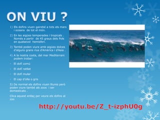 1) Els dofins viuen gairebé a tots els mars
i oceans de tot el món.
2) En les aigües temperades i tropicals .
Només a partir de 45 graus dels Pols
en qualsevol hemisferi.
3) També poden viure amb aigües dolces
d’alguns grans rius d'Amèrica i d’Asia .
4) A la nostra costa, del mar Mediterrani
podem trobar:
- El dofí comú
- El dofí ratllat
- El dofí mular
- El cap d’olla o gris
5) De normal els dofins viuen lliures però
poden viure també als zoos i ser
domesticats .
Clica aquest enllaç per veure els dofins al
zoo
 