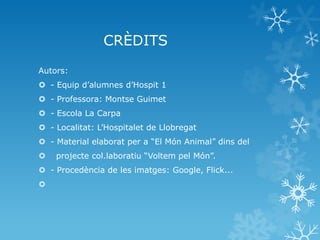 CRÈDITS
Autors:
 - Equip d’alumnes d’Hospit 1
 - Professora: Montse Guimet
 - Escola La Carpa
 - Localitat: L’Hospitalet de Llobregat
 - Material elaborat per a “El Món Animal” dins del
 projecte col.laboratiu “Voltem pel Món”.
 - Procedència de les imatges: Google, Flick...

 
