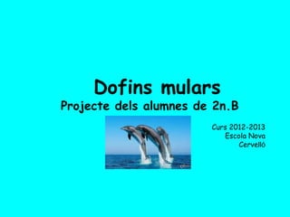 Dofins mulars
Projecte dels alumnes de 2n.B
Curs 2012-2013
Escola Nova
Cervelló
 