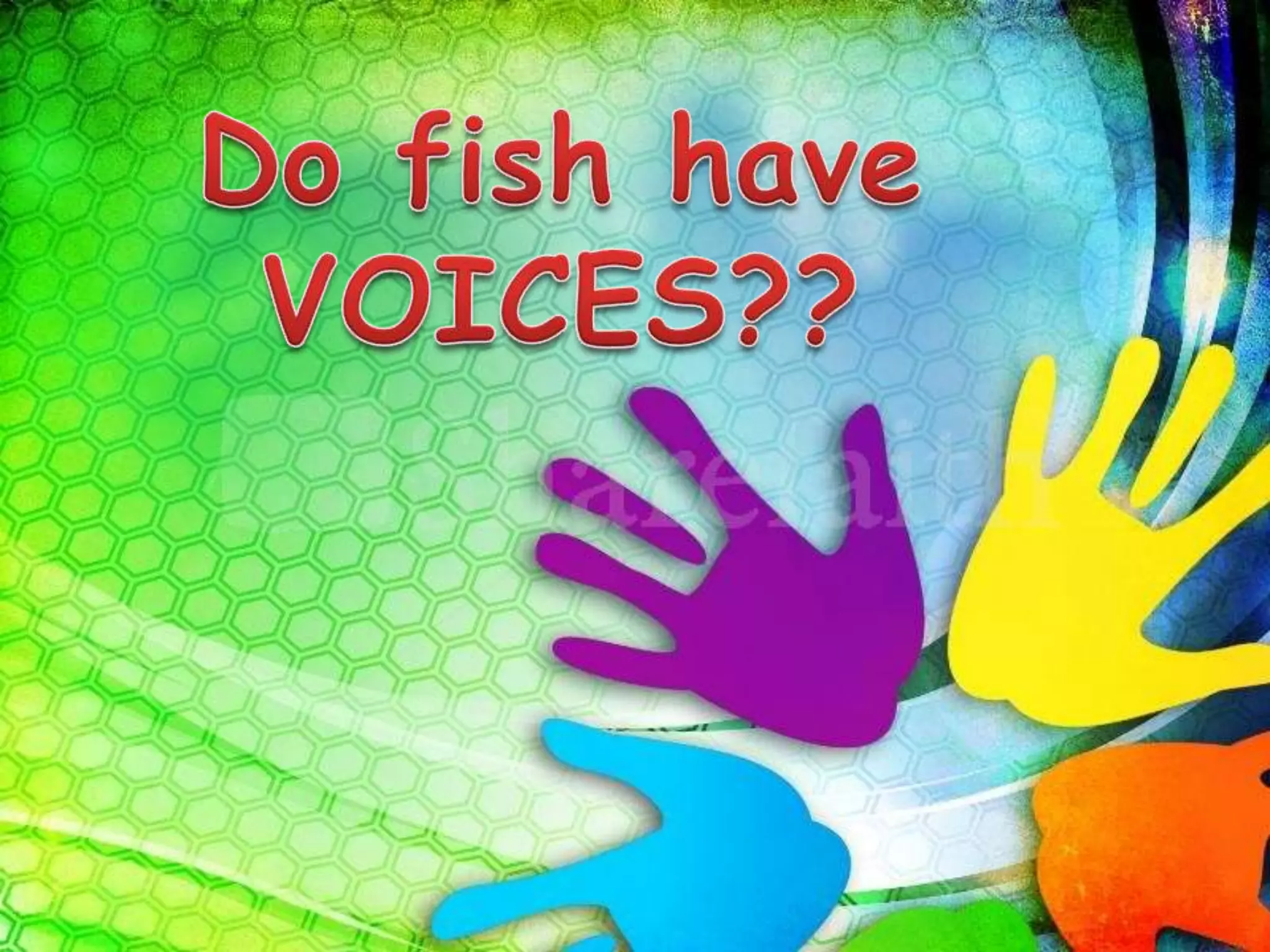Do fish have voices PPT