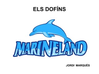 ELS DOFÍNS
JORDI MARQUÉS
 
